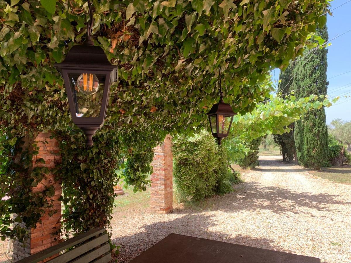 Вілла Casale Degli Ulivi Maccarese Le Cerquete Екстер'єр фото