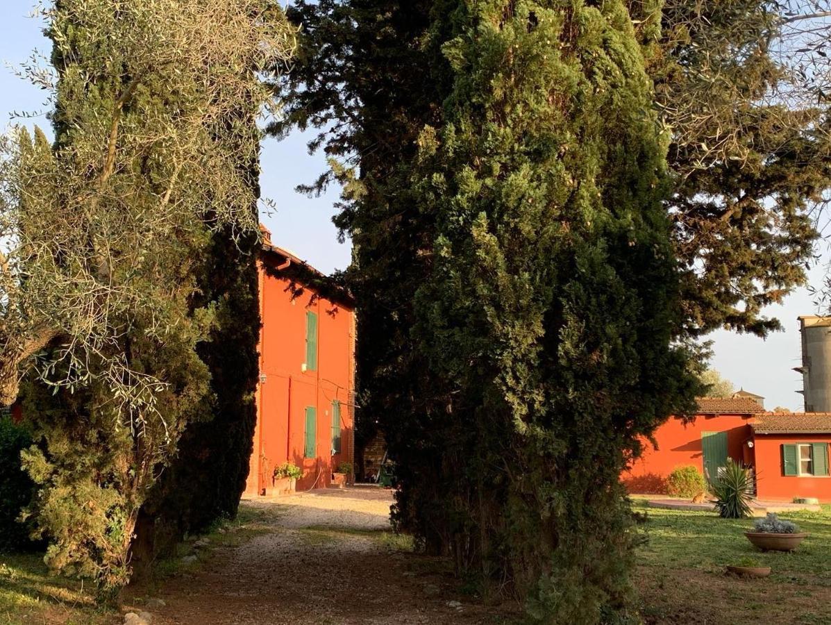 Вілла Casale Degli Ulivi Maccarese Le Cerquete Екстер'єр фото